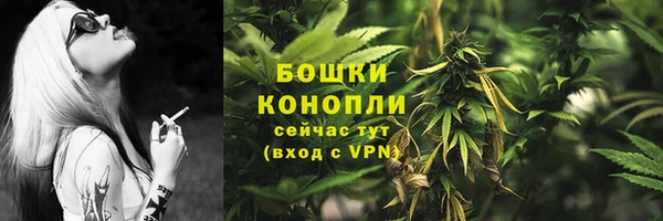 соль ск Балахна