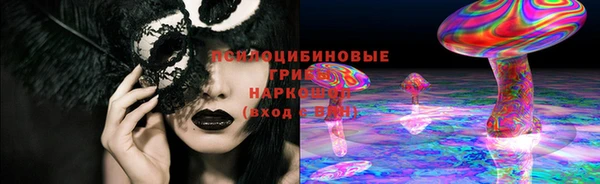 соль ск Балахна