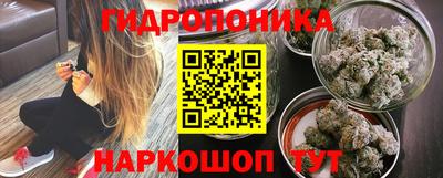шишки Кинель