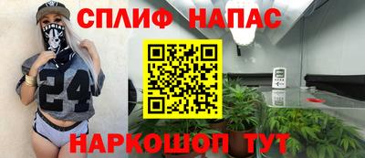 шишки Кинель