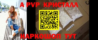 прущие крисы Кингисепп