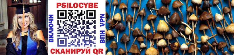Галлюциногенные грибы Cubensis  продажа наркотиков  Бутурлиновка 