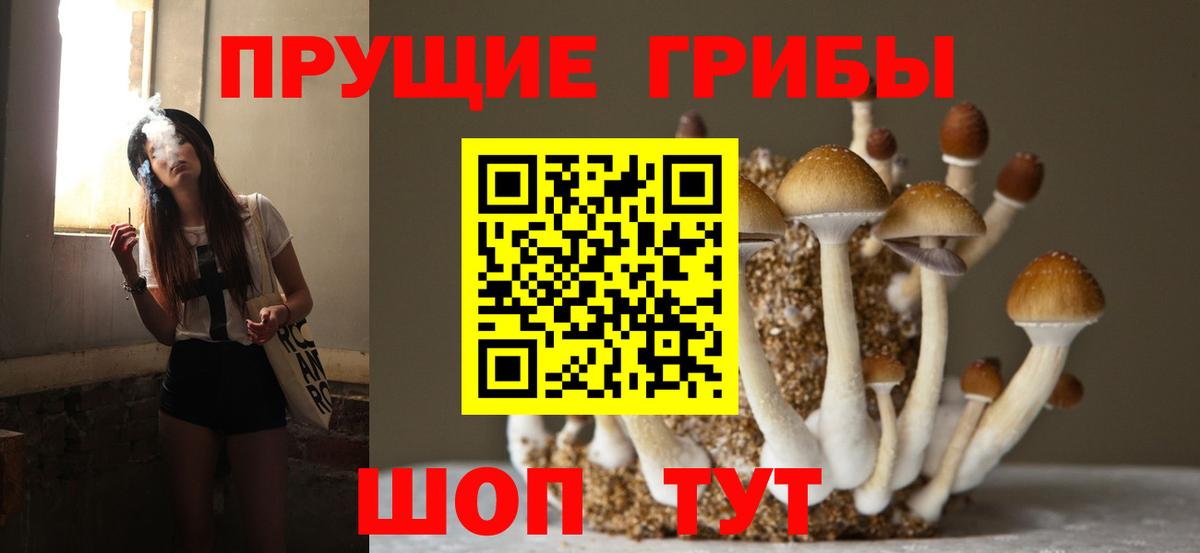 Галлюциногенные грибы мухоморы  Галлюциногенные грибы Magic Shrooms  Бутурлиновка 