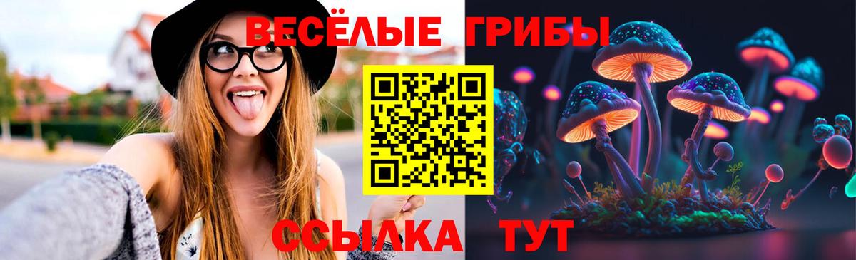 Псилоцибиновые грибы GOLDEN TEACHER  Псилоцибиновые грибы ЛСД  Вход с VPN  Бутурлиновка 